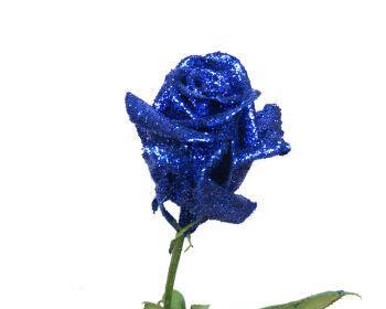 蓝玫瑰花的寓意（彰显独特魅力，为爱情加持）