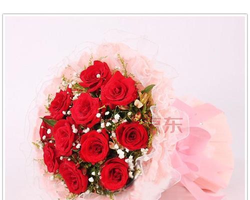 11朵玫瑰花语大全——每朵代表的意思（花语的美丽意义）