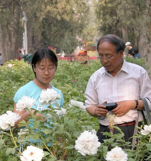 打造美丽庭院的秘密——家养牡丹花种植方法（学会这些技巧，你也能轻松拥有绚丽花海）