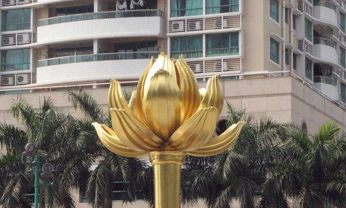 泰国国花金链花（从传说到现实，探秘泰国国花金链花的美丽与神秘）