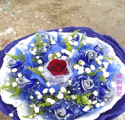 探寻蓝色妖姬花的花语与寓意（解读蓝色妖姬花的神秘符号与意义，了解它的美丽背后）