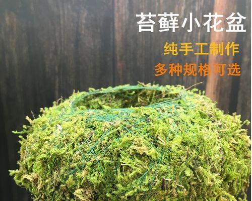 教你制作苔玉球——营造独特的植物生态氛围（苔玉球制作方法及技巧）