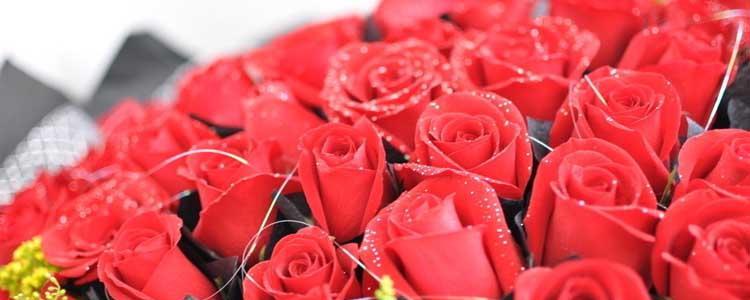 17朵玫瑰的意义（赠送17朵玫瑰所表达的情感和寓意）