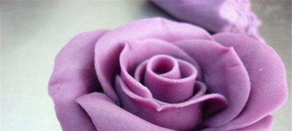 深入解读紫玫瑰的花语和寓意（探寻紫玫瑰所代表的意义，给你不一样的心灵启示）