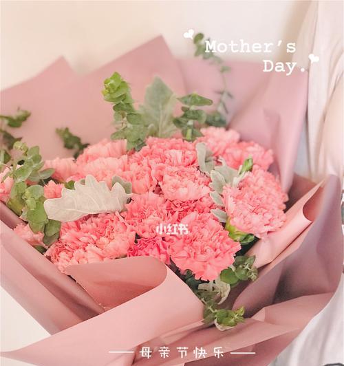康乃馨花语解析——母亲节的特别礼物（向伟大的母亲表达感激与尊敬）