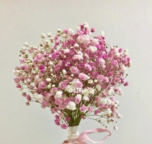 满天星花语与寓意解析（探秘满天星背后的特殊含义）