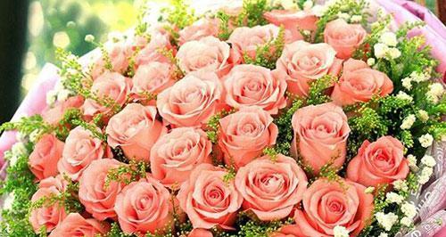 33朵粉玫瑰的花语及象征含义（玫瑰中的粉色浪漫，33朵花束的心意）