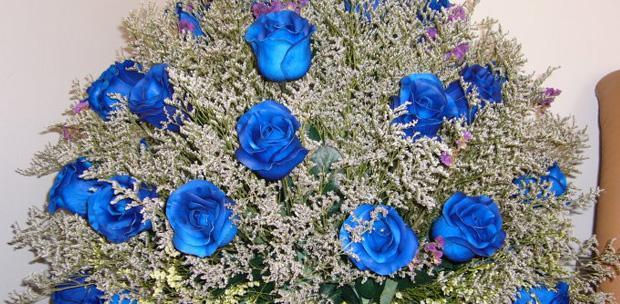 探究蓝色妖姬的花语（解读其神秘寓意，揭示花语的奥秘）