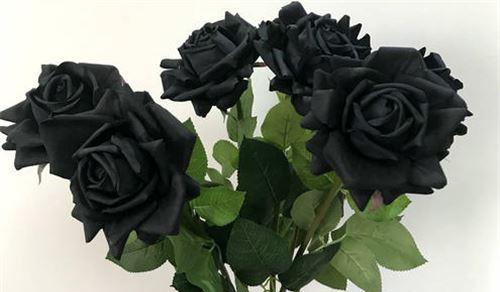 黑玫瑰的花语（探寻黑玫瑰的象征与含义）