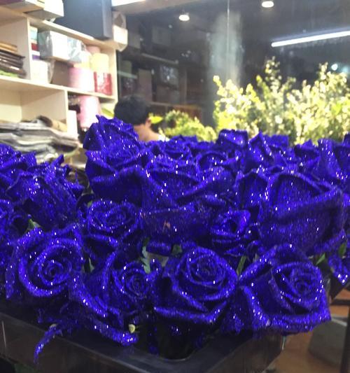 深入了解蓝色玫瑰花的花语（蓝色玫瑰，悄然绽放的神秘与美丽）