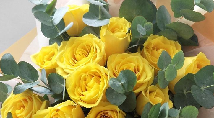 黄色玫瑰的象征意义（探究黄色玫瑰的花语及文化内涵）