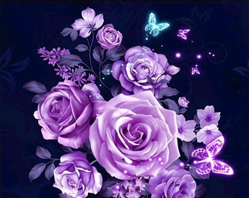 紫色玫瑰花的意义（神秘高贵的紫色，代表的不仅仅是爱情）