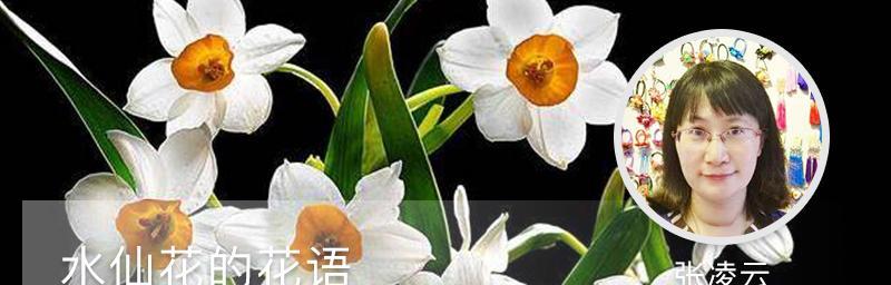 水仙花——春天的骄傲（别名、特点和栽培技巧）