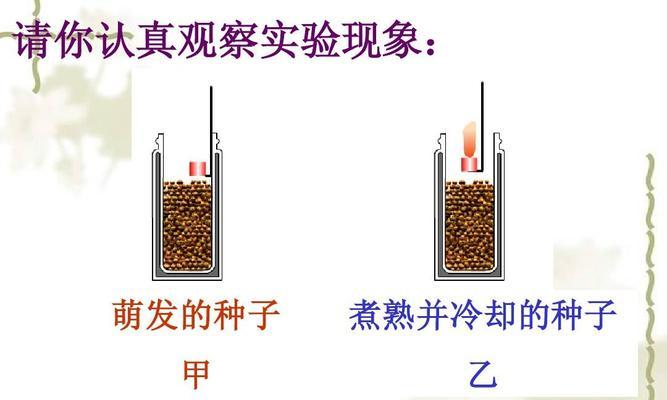 探究植物呼吸作用的重要性（探索植物的呼吸途径及其生态意义）