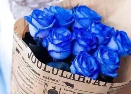 男人送蓝玫瑰的含义（解读男人为什么会送蓝玫瑰）