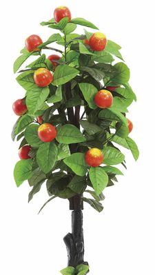 家庭果树盆栽的种植技巧（让你的家庭果园在盆中也能茁壮成长）