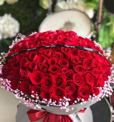 红玫瑰花语——爱情的宣言（表达爱意的最佳选择）