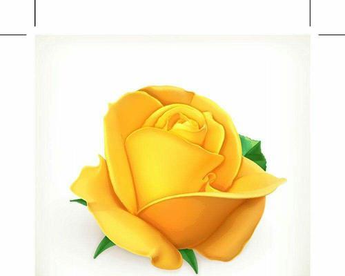 黄玫瑰的代表意义（花语解析及文化涵义）