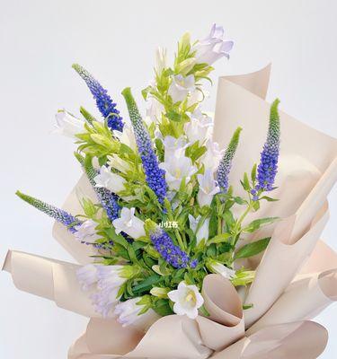 听风铃花语，领略自然的美（解读风铃花的花语及其象征意义）
