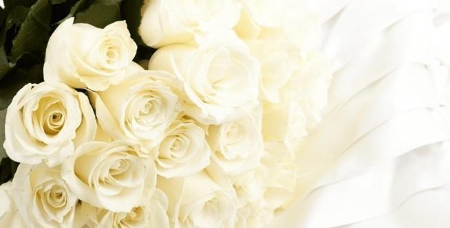 白玫瑰花语（美丽、纯洁、爱情）