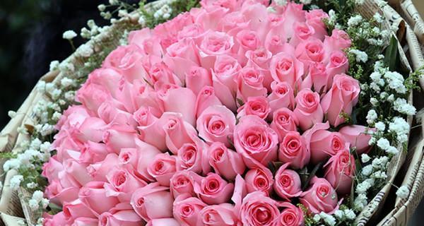 粉玫瑰——梦幻般的花语（用花语讲述粉玫瑰的含义和传说）