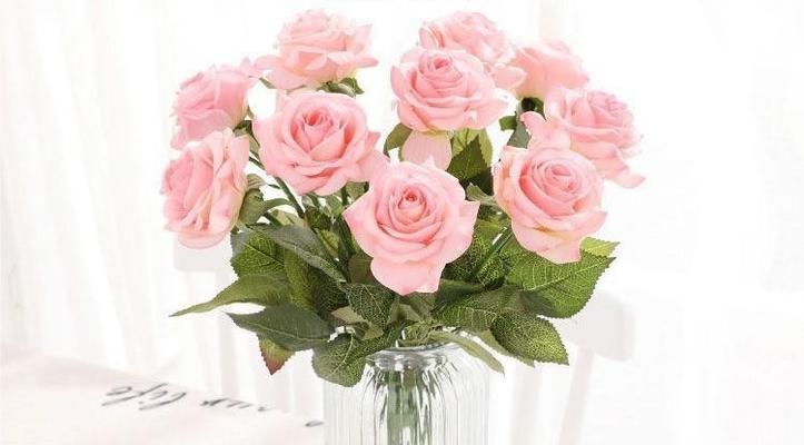 粉玫瑰的花语——表达浪漫的方式（探寻粉玫瑰背后的情感和寓意）