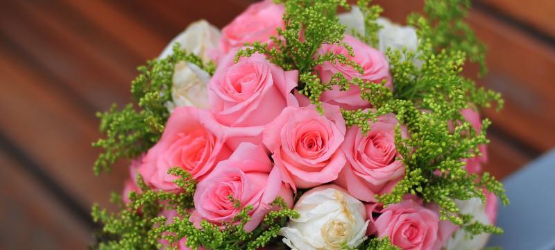 粉玫瑰——爱情与柔美的象征（浪漫的粉色，传递着深情厚谊）