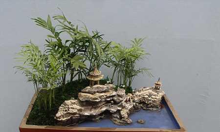 山影养殖指南（从选种到管理，全面掌握山影养殖技巧）