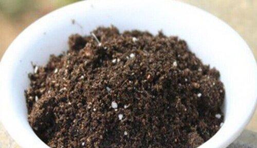 兰花栽培土怎样配（打造理想生长环境，提高兰花成活率）