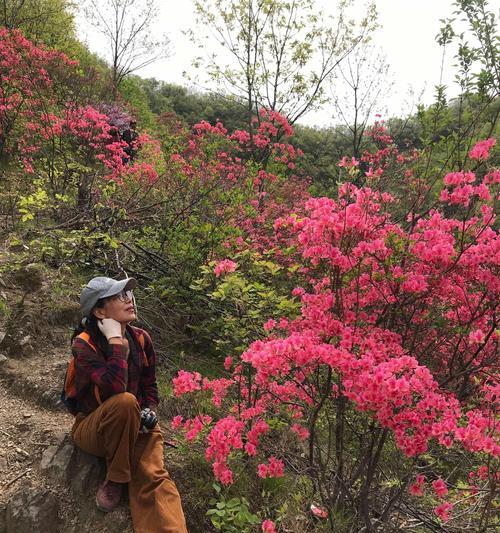 鸡冠杜鹃花的养护方法（让你的花园充满色彩与活力）