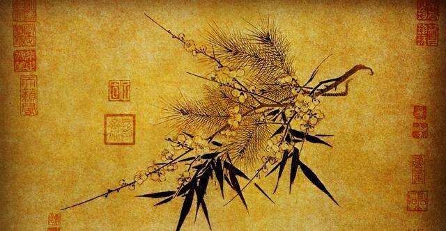 探秘花中四君子（从历史到文化，解读花卉世界的四位贵族）