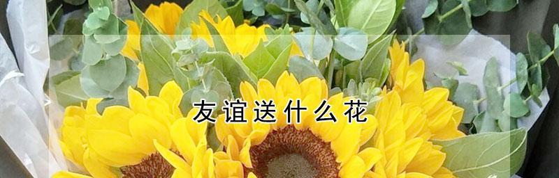 代表友谊的花-送什么最合适？（别样礼花送亲友，友情代表花不同凡响）