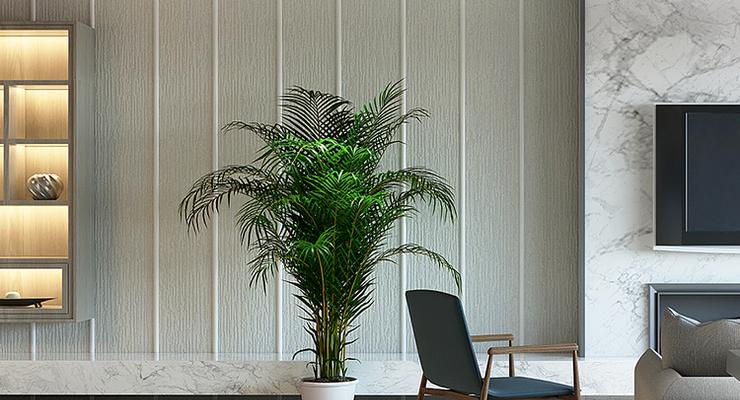 如何选择适合办公桌的绿植？（让绿色陪伴你的办公时间/办公桌绿植的选择和养护）