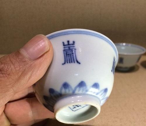 万年青花的多样性（探究万年青花的多种品种及其特点）
