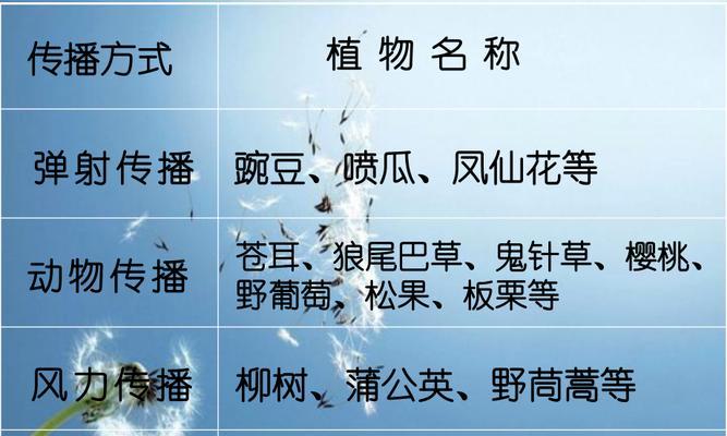 植物传播种子的方式（探究植物如何通过自然手段实现种子传播）