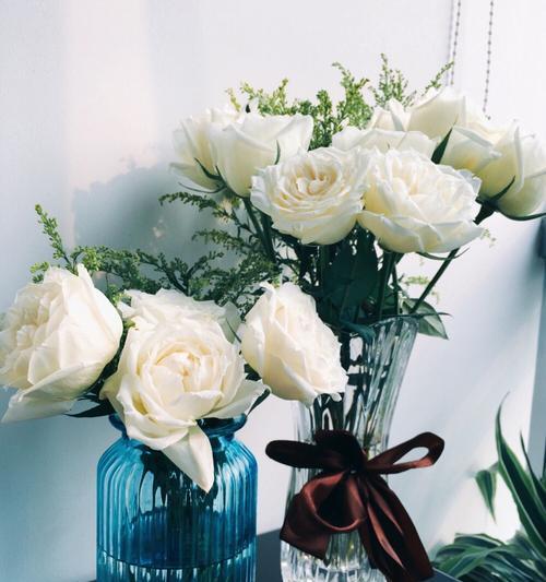 白玫瑰花的寓意与意义（纯洁、敬意、祝福——白玫瑰花的深刻内涵）