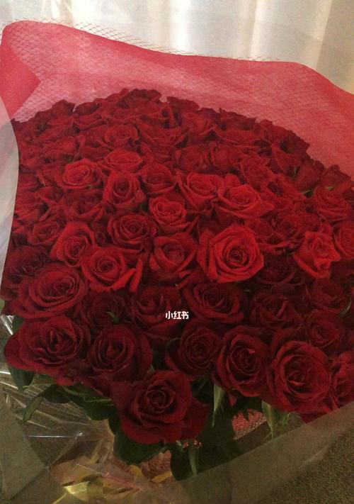 五叶梅黄叶怎么办？（教你轻松应对五叶梅黄叶问题）