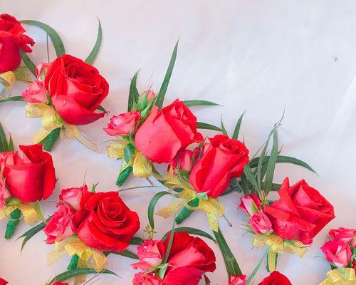 盛开在人间的最美玫瑰品种（探秘花海里的芳香世界，品味玫瑰的多彩生命）