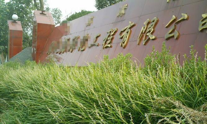 沿阶草种子的种植技巧（打造美丽的沿阶景观）