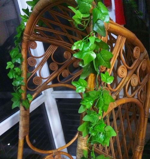 探秘藤蔓植物的多样性（从南极到热带，这些品种值得一看）
