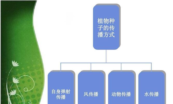 植物种子的传播方式：探究植物王国的繁衍之路