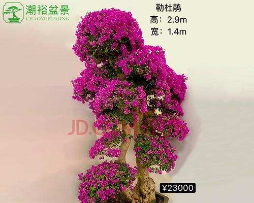 花卉造型的制作方法（打造独特花卉艺术之道）