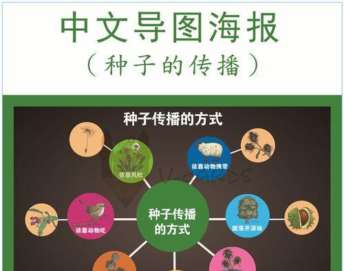 植物种子传播方式及其意义