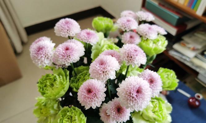 康乃馨（花海中的红颜，荣耀与感恩）