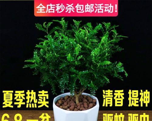 木本植物养殖指南（掌握这些方法，让您的植物茁壮成长！）