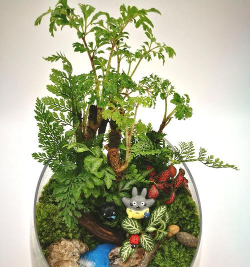 苔藓盆景的养护技巧（打造迷你自然，让苔藓盆景更漂亮）