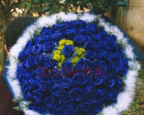 男人送蓝玫瑰的象征意义及深层寓意（突破传统的独特表达方式，用蓝色玫瑰传递心意）