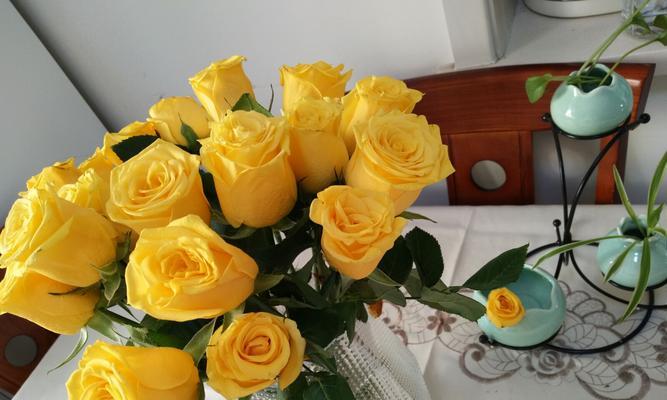 男人送女孩黄玫瑰的含义与解读（黄玫瑰所代表的情感和象征意义，揭示男人心中的真情与态度）