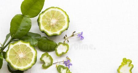 柠檬草的花语——展现清新与欢愉（柠檬草，芳香之草）