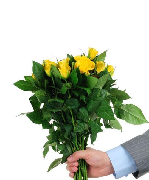 黄玫瑰代表情侣关系中的友谊与忠诚（揭秘黄玫瑰在情侣之间的象征意义）